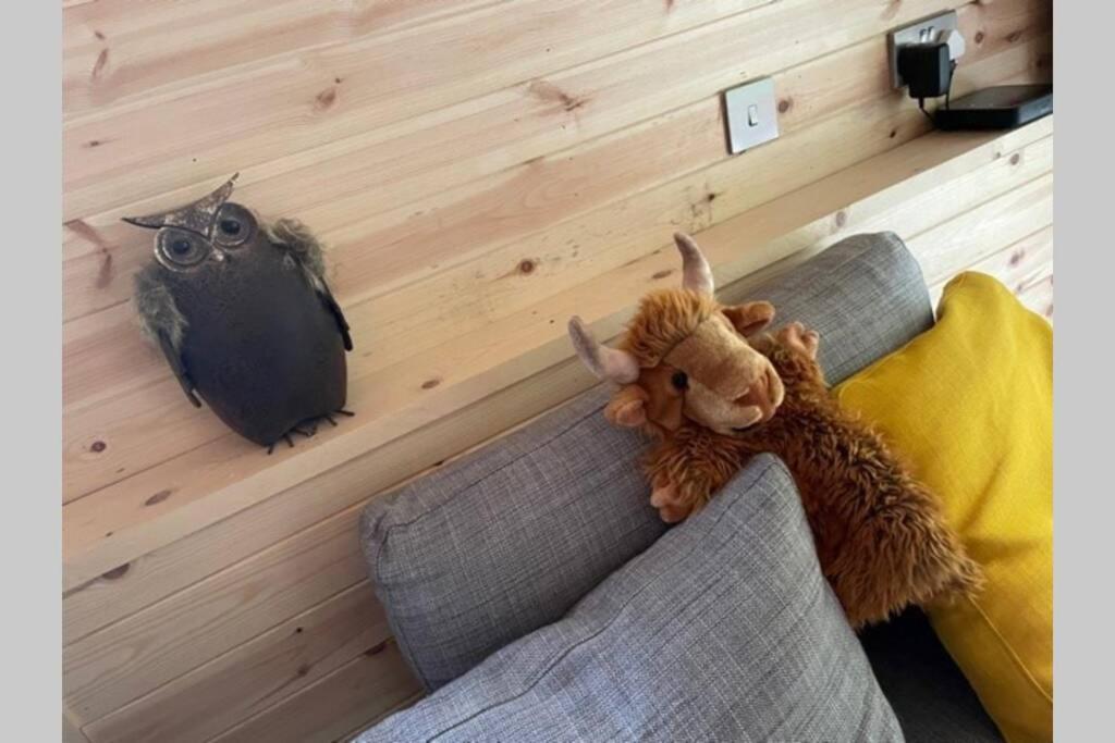 Coorie Doon Cabin! Great Scottish Welcome Fort Augustus Luaran gambar